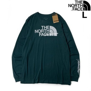 1円～!売切!【正規新品】THE NORTH FACE◆L/S GRAPHIC INJECTION TEE 長袖 Tシャツ ロンT US限定 メタリックシルバー(L)緑 180902-5