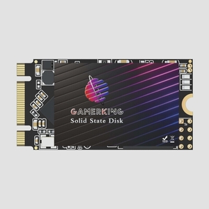 送料無料★GamerKing M.2 内蔵型SSD SATA III ハードドライブ (512GB M.2 2242)