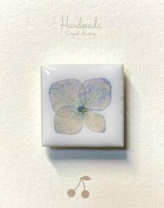 ●No.50　紫陽花　押し花マグネット（ホワイト）