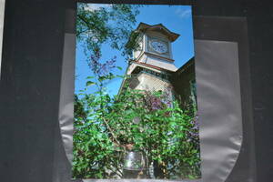 ソノシート　札幌時計台の鐘の唄　はがき型ソノシート