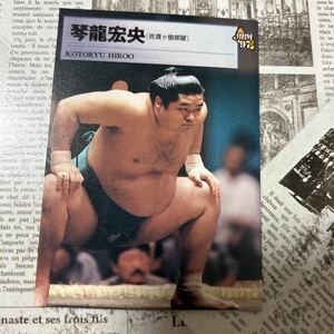 1997BBM 29 琴龍　宏央　相撲カード