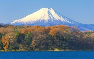 秋富士 紅葉の富士山 狭山湖 もみじ 絵画風 壁紙ポスター 特大ワイド版921×576mm（はがせるシール式）029W1