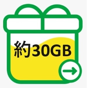 mineo マイネオ パケットギフト 約30GB 送料無料 クーポンをお持ちの方におすすめです！