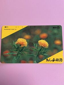 紅花の山形路　紅花　山形　テレホンカード 未使用品　50度