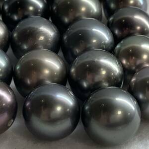 ［南洋黒蝶真珠23点おまとめ］A 重量約50.0g 約250ct 11.5-12mm珠 pearl パール ルース 裸石 宝石 ジュエリー jewelry DI0 ①