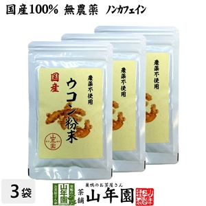 健康食品 国産100% 無農薬 ウコン 粉末 30g×3袋セット パウダー 秋ウコン 山梨県産 ノンカフェイン 送料無料