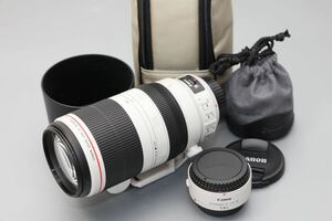 Canon EF100-400/4.5-5.6 L IS Ⅱ USM 1.4xⅢ付