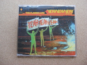 ＊The Flaming Lips／The Yeah Yeah Yeah Song （PRO15737）（輸入盤）