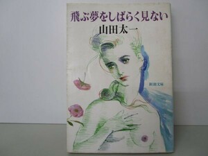 飛ぶ夢をしばらく見ない (新潮文庫) y0601-bb3-ba253429