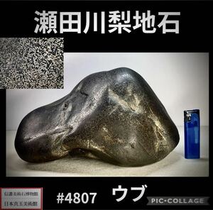 【信濃美術石博物館】 水石 盆栽 瀬田川梨地石 ウブ 横23×高15×奥行16(cm) 9kg 骨董盆石古美術鑑賞石観賞石太湖石中国古玩