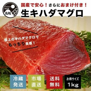 極上! 国産生キハダマグロ 1kg+おまけ（生）送料無料（お買い得1kg）