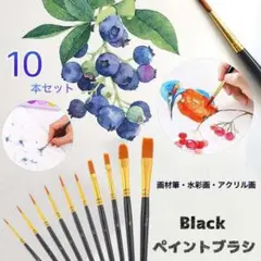 ペイントブラシ10本セット 画材筆 アクリル筆 油絵筆 水彩筆 画筆 平筆 黒