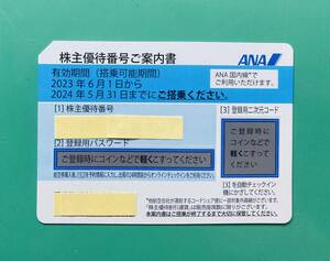 ANA株主優待券　有効期間2024年5月31日まで