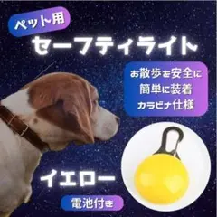 セーフティ ライト イエロー ペット LED 散歩 犬 首輪 安全 リード