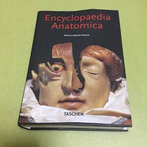 ◎人体の洋書 Encyclopaedia anatomica. Ediz. italiana, spagnola e portoghese