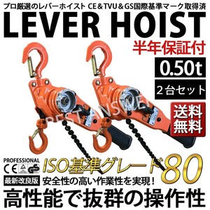 レバーホイスト 0.5t 500kg 1.5m 2台セット VL チェーンブロック チェーンホイスト レバー式 ブロック 工具 吊上げ 吊り まとめて