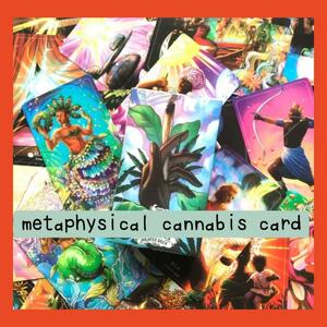 【限定セール】metaphysical cannabis card　大麻モチーフ