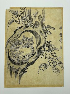 江戸 浮世絵 喜多川 歌麿 「木菟 フクロウ」木版画 ukiyoe utamaro