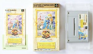 ドラゴンスレイヤー英雄伝説2(中古品)　(shin