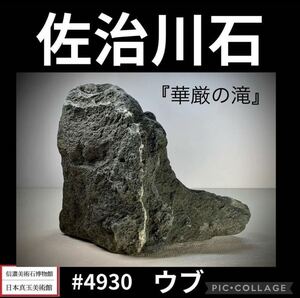 《GW感謝祭》 水石盆栽 佐治川石 滝石 『華厳の滝』ウブ 横23×高19×奥行8(cm) 4.54kg 骨董盆石鑑賞石観賞石太湖石 4930