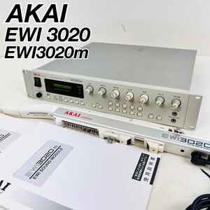 アカイ AKAI ウィンドシンセサイザー　EWI3020