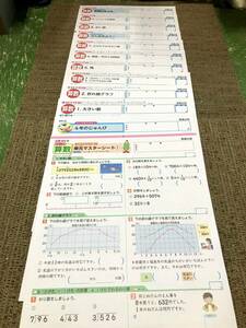 【未使用品】★☆小学4年生 算数(12枚) カラーテストプリント 家庭学習用☆★現状渡し