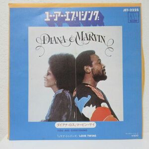 SOUL EP/Diana Ross & Marvin Gaye - You Are Everything/B-12237
