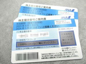 ☆☆未使用 ANA株主優待券 2枚 全日空 有効期限2024年5月31日まで ブルー 番号通知無料☆☆