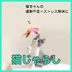 猫じゃらし 猫 おもちゃ ペット用品 猫グッズ キャット用品 猫遊び  にゃんこ