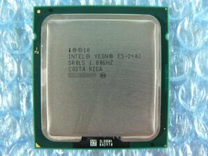 1EZB // Intel Xeon E5-2403 1.80GHz SR0LS Sandy Bridge-EN M1 Socket1356(LGA)COSTA RICA // NEC Express/R110d-1M 取外 // 在庫2