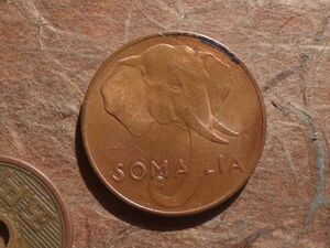 ソマリア　5Cents　銅貨　1950年　KM#2　(25.1mm, 6.0g)