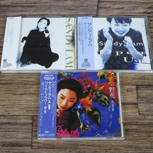 ☆サンディ・ラム(林憶蓮/SANDY LAM) 日本版CD／ワイルドフラワー(野花) WMC5-495/オープン アップ PICL-1096/シンプル PICL-1072☆z31808
