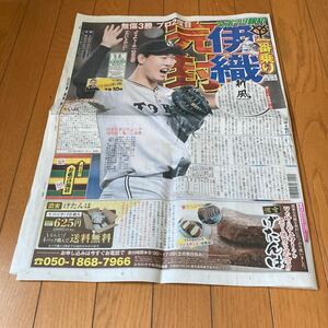 スポーツ報知 報知新聞 令和6年05月08日　巨人　ジャイアンツ 山崎伊織　大谷翔平　門脇誠　坂本勇人　井上尚弥　桜田ひより　目黒蓮