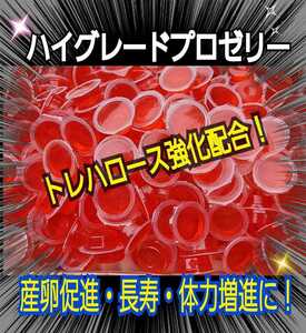 特選　昆虫ゼリー【100個】クワガタゼリー　カブトムシゼリー　産卵促進、長寿効果抜群！トレハロース強化配合！食べやすいワイドカップ