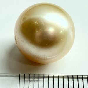 ［南洋白蝶真珠3.05g］A 約15.282ct 14.2×12.7mm ルース 裸石 宝石 south sea pearl 真珠 ゴールデン golden テDA4