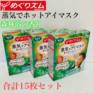 めぐリズム 蒸気でホットアイマスク 森林浴の香り リラクゼーション 合計15枚セット/Y121-50