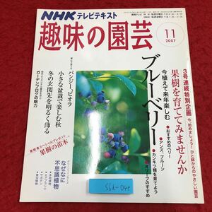 S6i-045 NHK 趣味の園芸 2007年11月号 ブルーベリー パンジー ビオラ 2007年11月1日 発行 日本放送出版協会 雑誌 園芸 果樹 盆栽 オリーブ