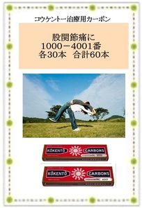 股関節痛に　コウケントー　光線治療器用　カーボン　１０００番と４００１番を各３０本　合計６０本　黒田製作所　