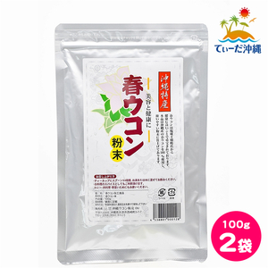 【送料込 クリックポスト】沖縄ウコン販売 春ウコン粉末 100g 2袋セット