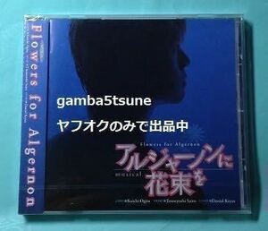 ★新品未開封★ CD 浦井健治 2006年 『ミュージカル アルジャーノンに花束を』