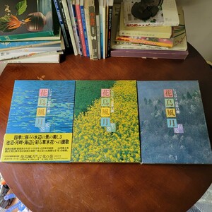 いけばな 日本の美 花鳥風月 3冊セット 定価6,800 講談社 花器 花瓶 水盤 いけばな 池坊 華道 花道