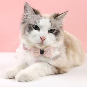ワッフル リボン ネコ 首輪 水玉 ピンク 猫 猫用 猫用首輪 猫首輪 子猫 ~ 成猫 シュシュ リボン 安全 超軽量 ねこ首輪 猫の首輪