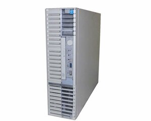 NEC iStorage NS100Td (NF8100-202Y) Pentium G3220 3.0GHz メモリ 4GB HDD 2TB×2(SATA)