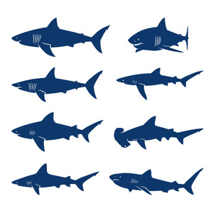 ステッカー サメ,フグ,熱帯魚,ダイビング,魚