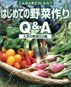 はじめての野菜作りＱ＆Ａ　こんなときどうしたら？ 人気の野菜５３種 主婦の友生活シリーズ／主婦の友社