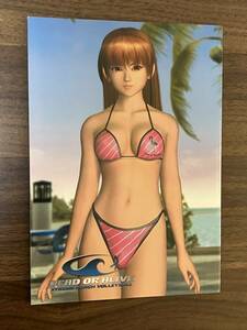 XBOX DEAD OR ALIVE Xtreme Beach Volleyball Special Photo Bookrettto(デッドオアアライブ　エクストリームビーチバレー) フォトブック