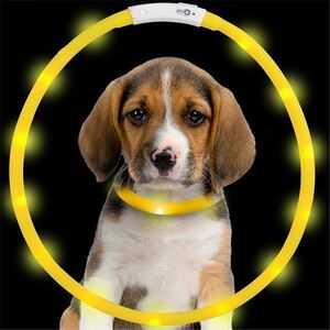 「b6i-a2」 犬用 光る首輪 充電式 散歩 犬 ライト LED アウトレット 小型犬 中型犬 大型犬 イエロー