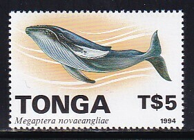 43 トンガ【未使用】＜「1994 高額普通切手 / 海の生物・クジラ」＞