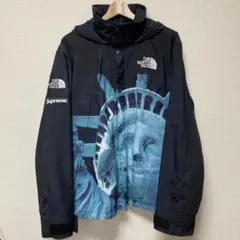 Supreme The North Face Statue of Liberty