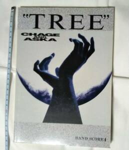 未使用「CHAGE AND ASKA バンドスコア TREE」